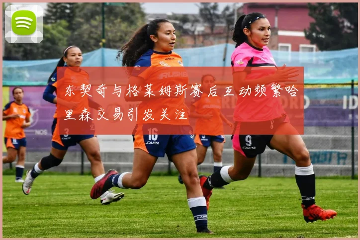 东契奇与格莱姆斯赛后互动频繁哈里森交易引发关注