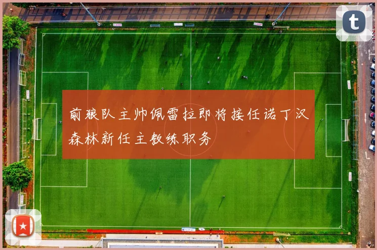 前狼队主帅佩雷拉即将接任诺丁汉森林新任主教练职务