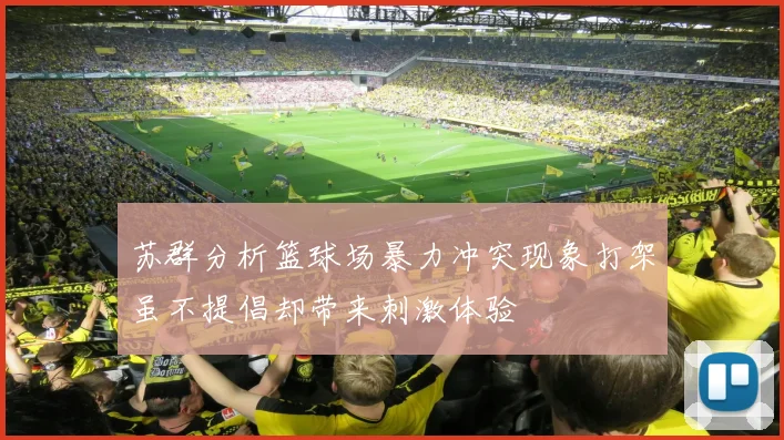 苏群分析篮球场暴力冲突现象打架虽不提倡却带来刺激体验