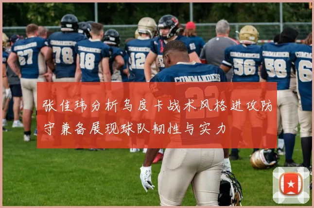 张佳玮分析乌度卡战术风格进攻防守兼备展现球队韧性与实力