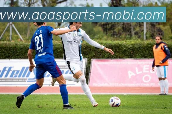 AOA体育服务体系